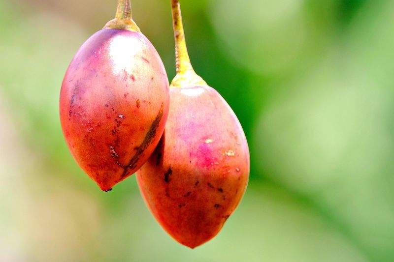 Gesundheit Wohlfühlen GmbH - Image 1